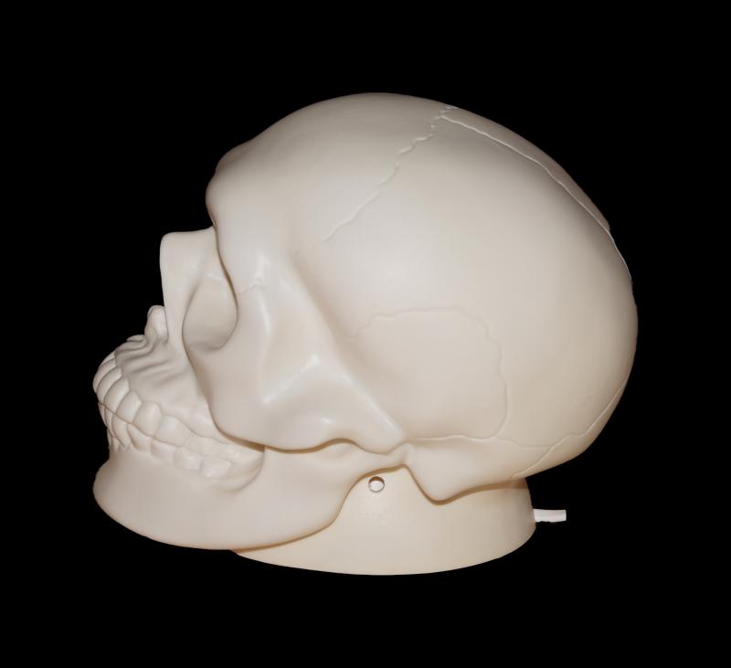 Totenkopf Lampe - seite